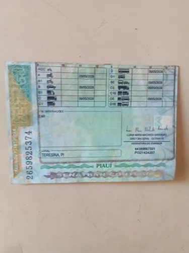 Meus serviços de motorista particular