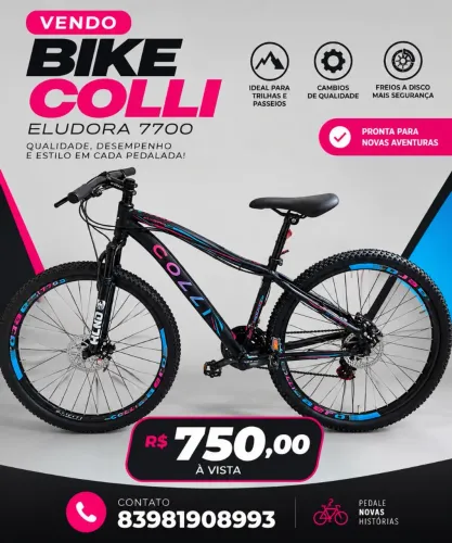 Bicicleta