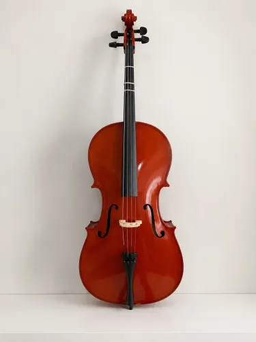 Violoncelo 3/4