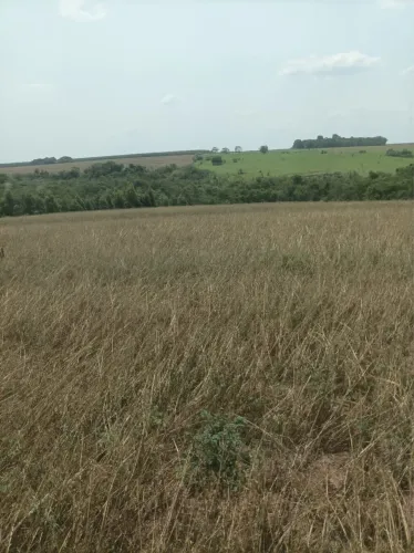 Sítio a venda em Campo Mourão Pr.