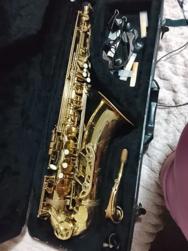 Vendo Sax tenor Michael