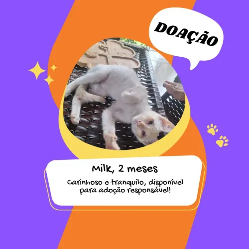 DOAÇÃO 