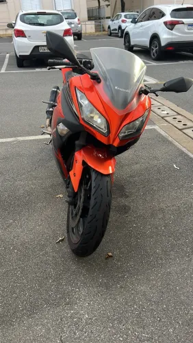 Ninja 300 Special Edition abs