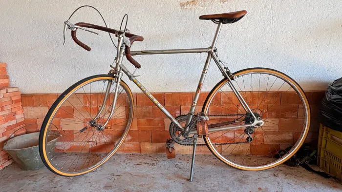 Peugeot 10 ano 1979