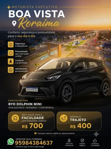 BYD Dolphin Mini 100% Elétrico para Viagens e Corridas
