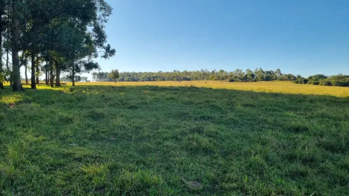 Fazenda à venda.