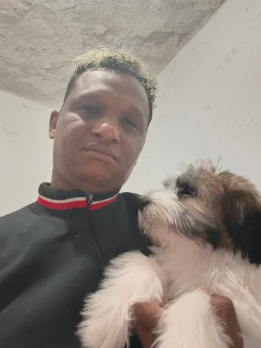 Cachorro ?