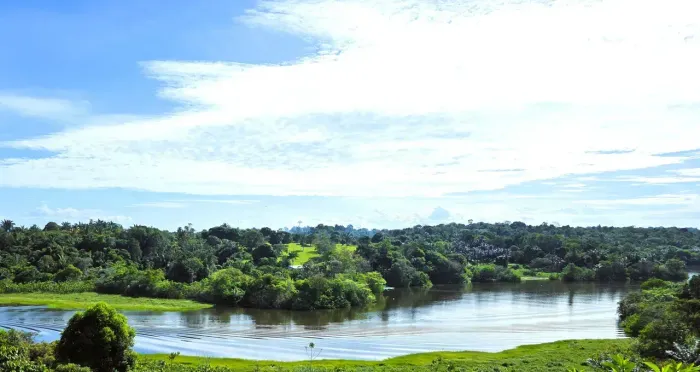Sítio Terreno Casa Estrada do Jandira Iranduba 36.000m² Igarapé Rio Lago