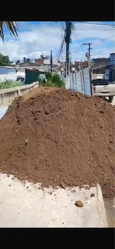 Areia,brita,aterro,limpeza de entulhos 