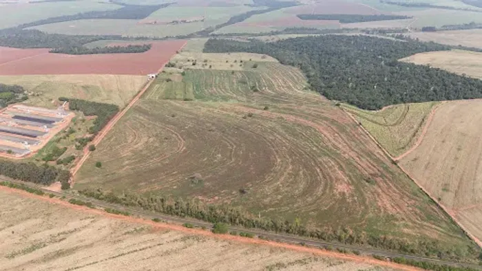 Fazenda 50 alqueires a venda - Nova Esperança