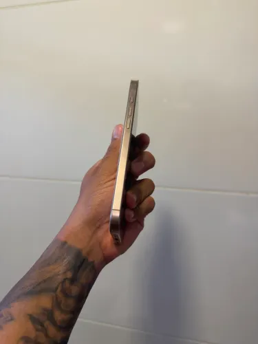 16 Pro Max 256gb (Impecável, 91%)