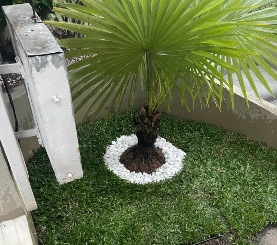 Auxiliar de serviços gerais