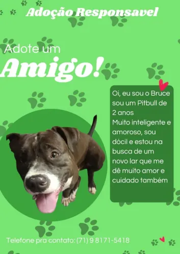 Doação Responsável 