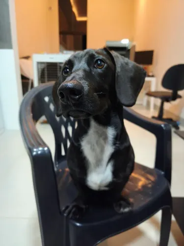 Procuro uma namorada