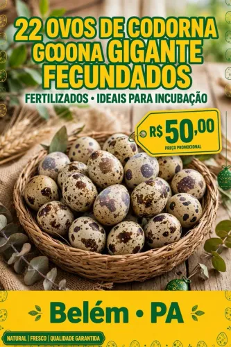 Disponível 