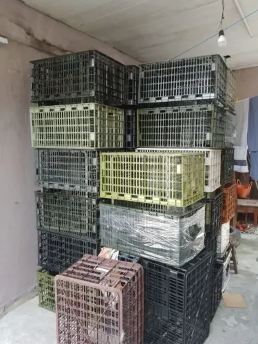 Caixa plásticas
