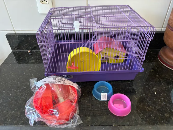 Kit Hamster