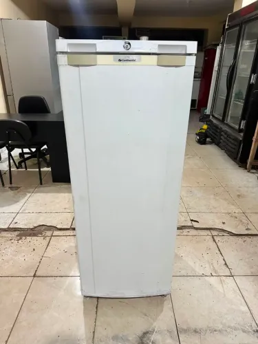 Esmaltec degelo 260 litros <br>260 litros <br>Valor 399