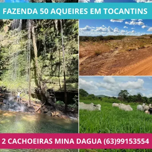 Fazenda 50 alqueires Documentada, terra, sítio, Cachoeira, Agua Mina Dagua