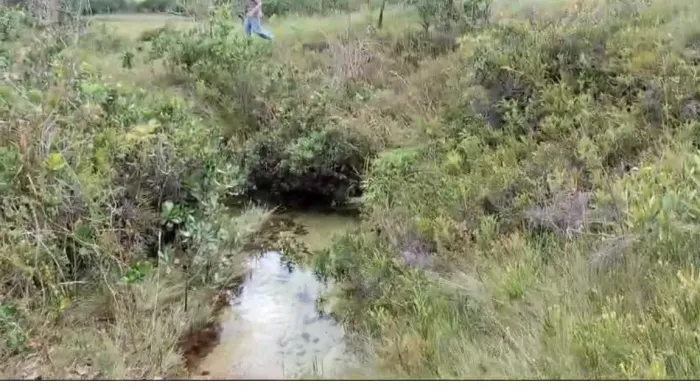 Terreno 84 hectares, com várias nascentes de água cristalina