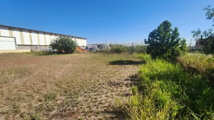 Terreno plano para industria com 2.346 m² na av. Paraná, bairro Cajurú. Próx. C. Branco.