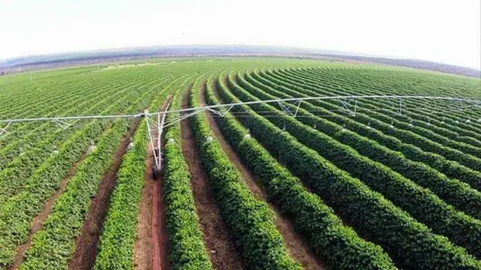 Buritizeiro/MG- Fazenda de Café de 2.050,00 ha - R$350.000.000,00