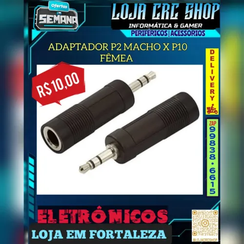 Adaptador P2 Macho x P10 Fêmea