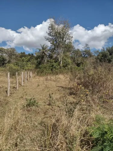Terreno 6.619m² a venda nos Matos de Baixo em Capim Brancov