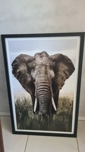 Quadro Decorativo Elefante Africano