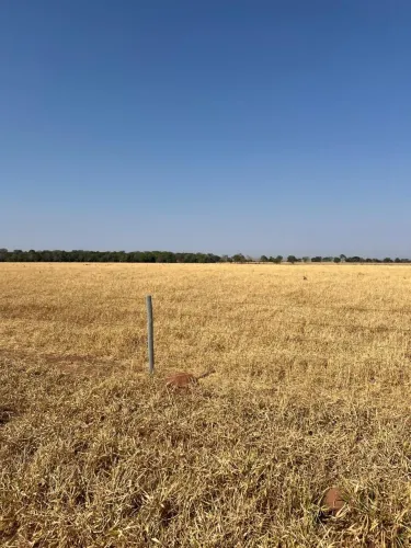 Fazenda de 420 alqueires em Doverlândia-GO