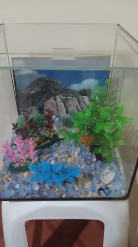 Aquário 10 Litros disponível para venda 