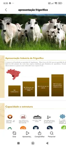 Frigorifico de bois, no MS. Aquidauana, abate 600 bois por dia 300 milhões de reais.