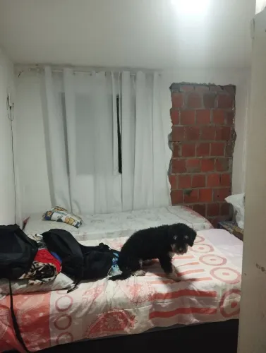 Apartamento pra vender 