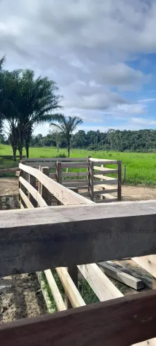 Vende-se um terreno bom cheio de pasto localizado em rorainopolis bem perto da cit