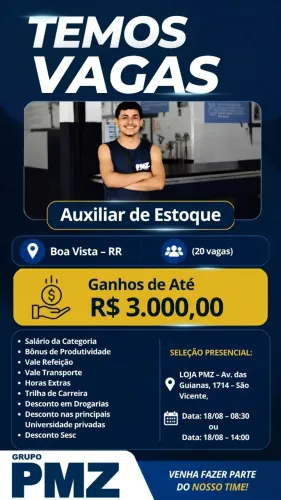 Auxiliar de Estoque - Boa vista RR PEÇAS E PNEUS