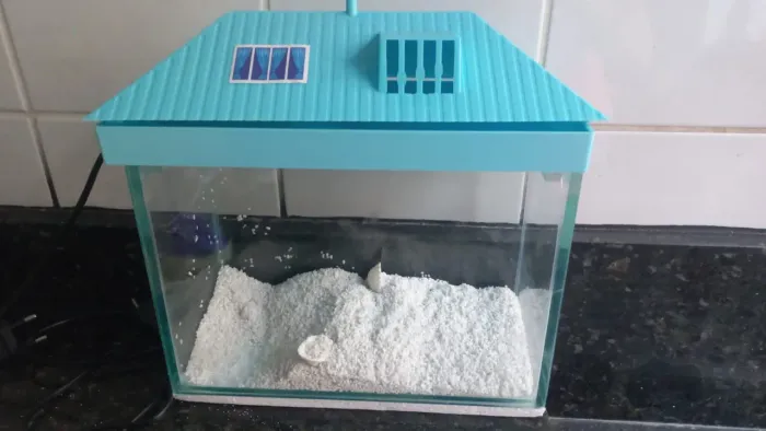 Aquário de casinha 5,8 L bivolt