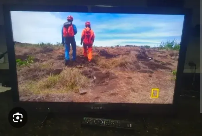 Sony Bravia (KDL-32EX425)