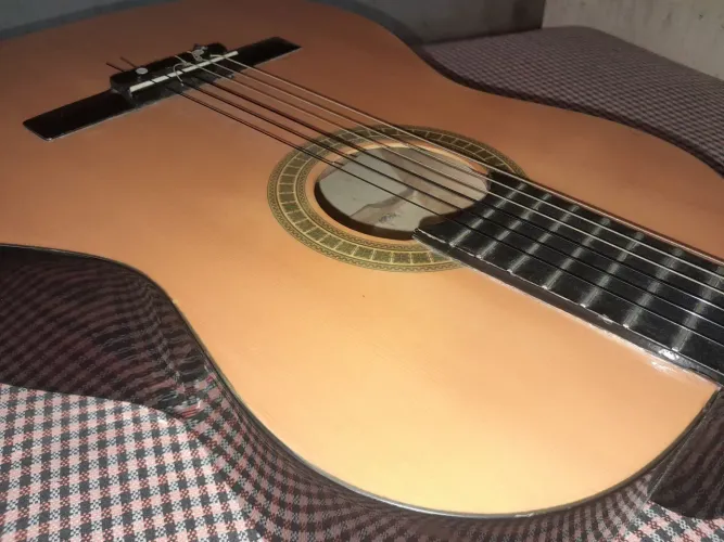 Vendo Giannini "GCX-15 N" usado