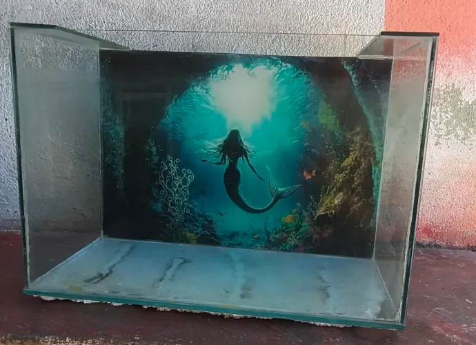 Vendo aquário já decorado em ótimo estado.