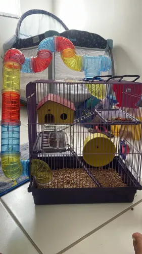 Gaiola de Hamster