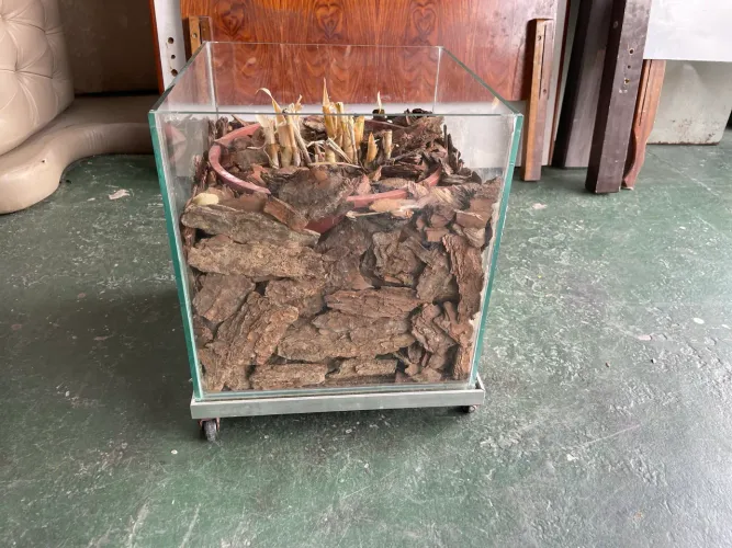 Vaso Cachepot de Vidro com Rodinhas 
