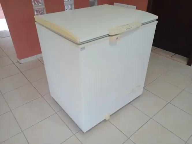 FREEZER / CONSERVADOR - ELETROLUX