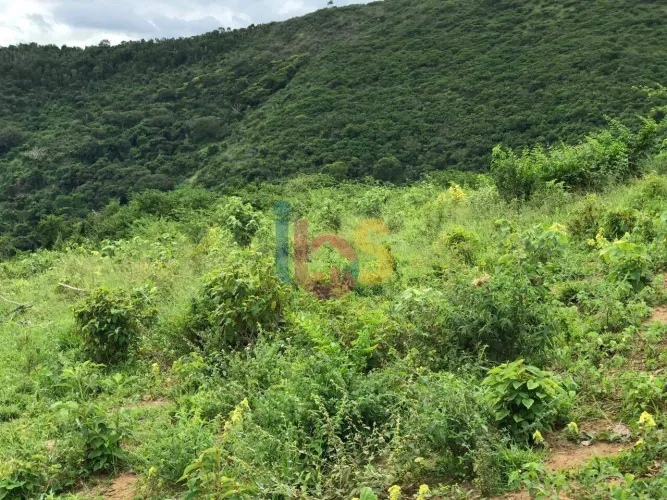 Vendo Fazenda - Região da Provisão