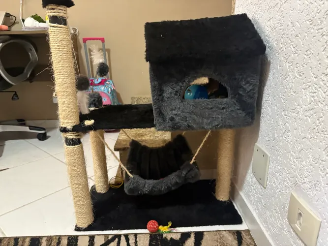 Casa arranhador e Rede Para Gatos