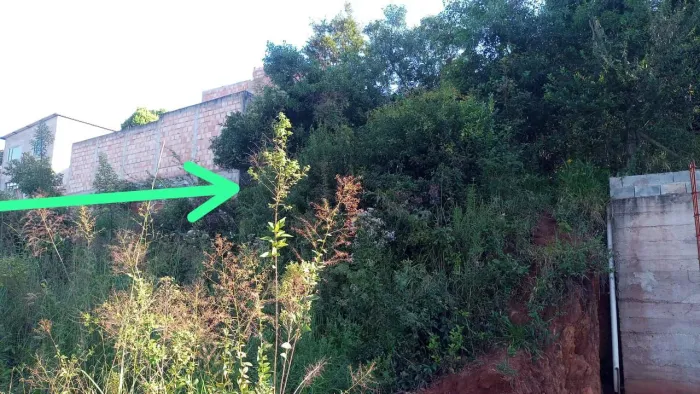 Lote venda