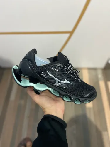 mizuno prophecy