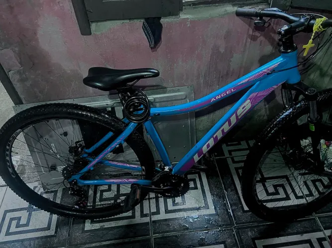 BICICLETA LÓTUS ARO 29