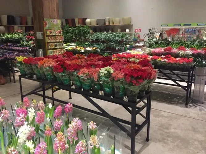 Expositor ideal para plantas - 80x300x90