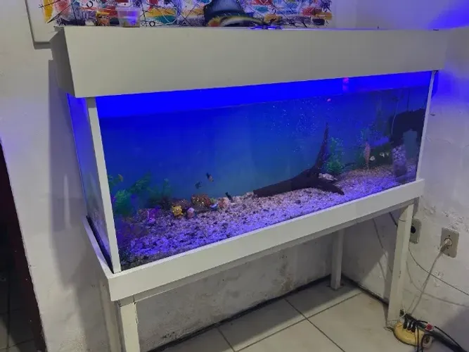 Aquário Completo 262L