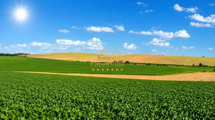 Lapa/PR | Fazenda 484 Hectares | 200 Alqueires | Dupla Aptidão | Frente Rodovia